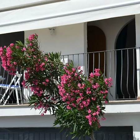 Charming Place 2 Apartamento *